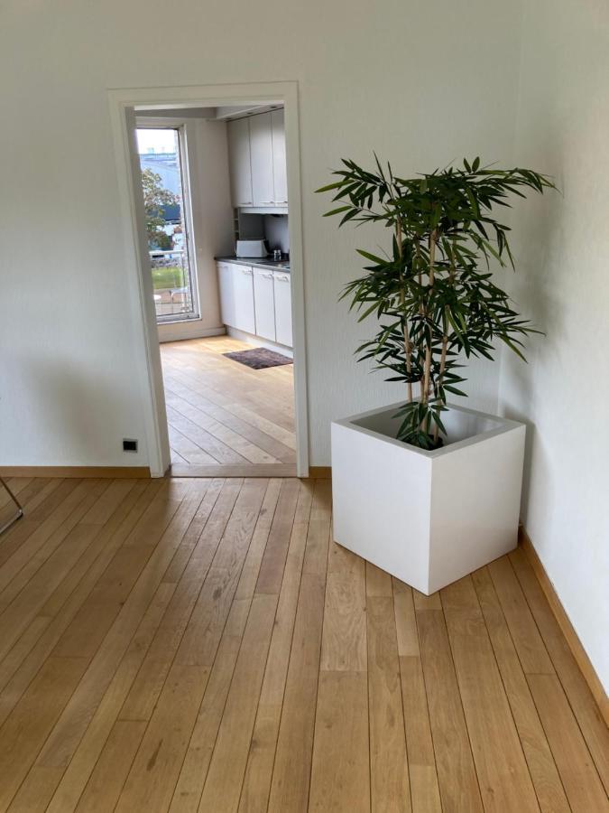 Lichtrijk Mooi Appartement Met Zicht Op Hof Van Roosendael Anvers Dış mekan fotoğraf